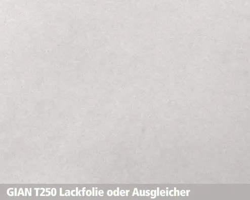 GIAN T250, Lackfolie, Equalizer, Treppennase, Beton, Antirutsch, Struktur, Profil, Treppe, Plattform, Galerie, Balkon, Brücke, Perron